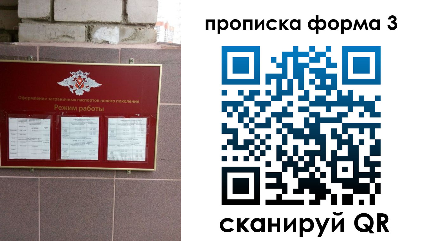 прописка ребенка в Мончегорске