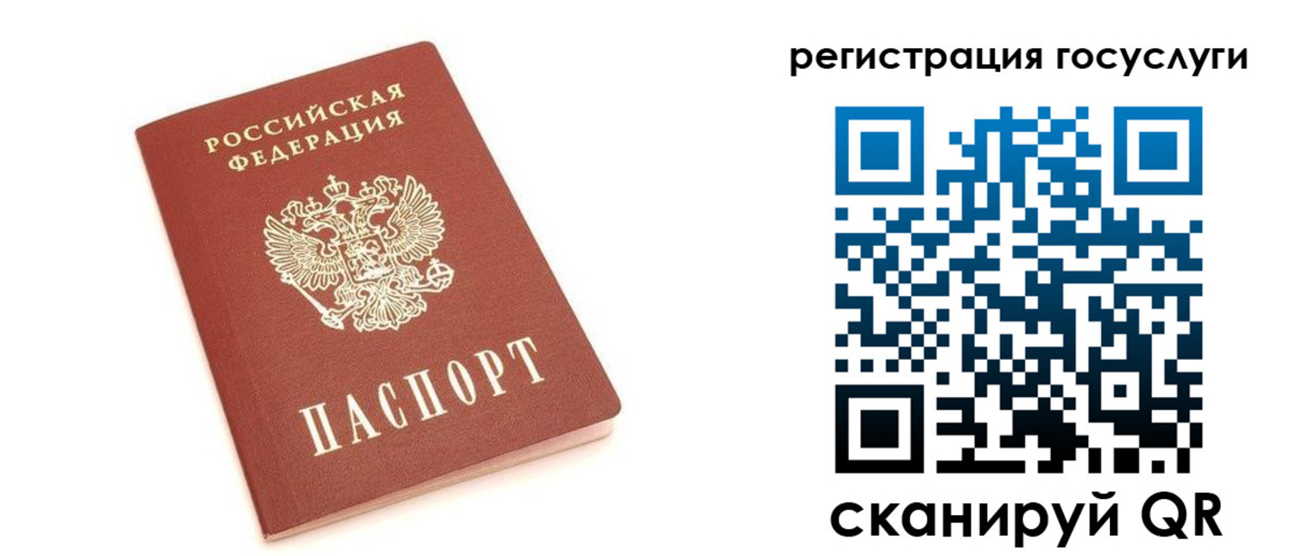 прописка 2025 в Мончегорске